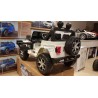 Jeep wrangler Rubicon 12v 2.4g RC wit elektrische auto