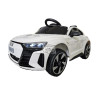 Audi RS E-Tron GT elektrische kinderauto 12 volt 2.4g wit