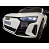 Audi RS E-Tron GT elektrische kinderauto 12 volt 2.4g wit