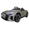 Audi RS E-Tron GT elektrische kinderauto 12 volt 2.4g metallic grijs