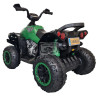 Elektrische kinder quad Phyton GROEN 12 VOLT