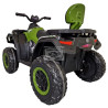 ELEKTRISCHE KINDERQUAD GROEN 24 VOLT