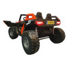 POWER BUGGY 24 VOLT 4 WHEEL DRIVE MET RC 2 PERSOONS