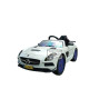 CUSTOM MERCEDES SLS AMG ELEKTRISCHE KINDERAUTO DIAMOND PEARL 12V 2.4G