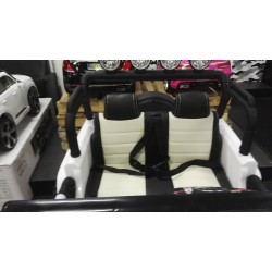 2 persoons Powerjeep wit 2x12v 